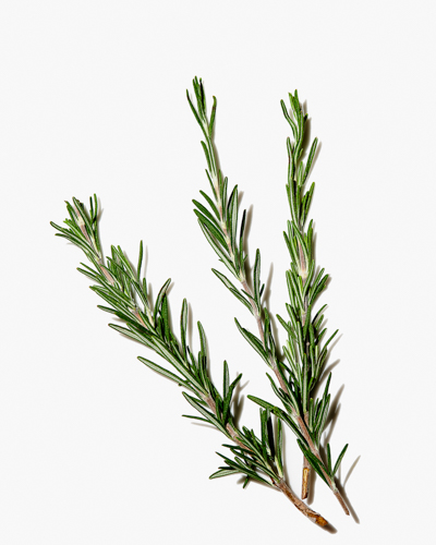 Rosemary Extract